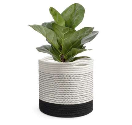 Cotton Large Woven Storage Basket 10x10 Inch Pack of 1 (White)