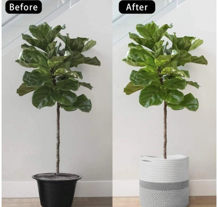 Cotton Large Woven Storage Basket 11x11 Inch Pack of 1 (Grey White)