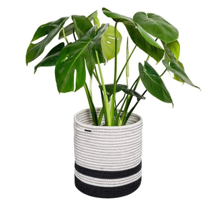 Cotton Large Woven Storage Basket 10x10 Inch Pack of 1 (Black &amp; White)