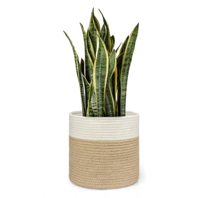 Cotton Large Woven Storage Basket 11x11 Inch Pack of 1 (Beige White)