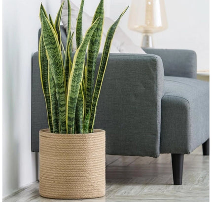 Cotton Large Woven Storage Basket 11x11 Inch Pack of 1 (Beige)