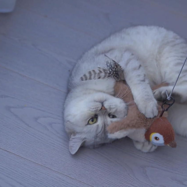 Flapping Cat Toy – Interactive Pet Toy for Cats