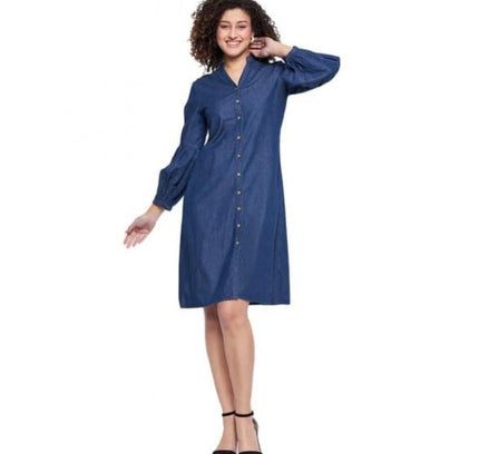 Women's Casual Denim Full sleeve Dress (Blue)