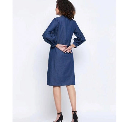 Women's Casual Denim Full sleeve Dress (Blue)