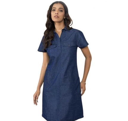 Women's Casual Denim Half Sleeves Dress (Blue)